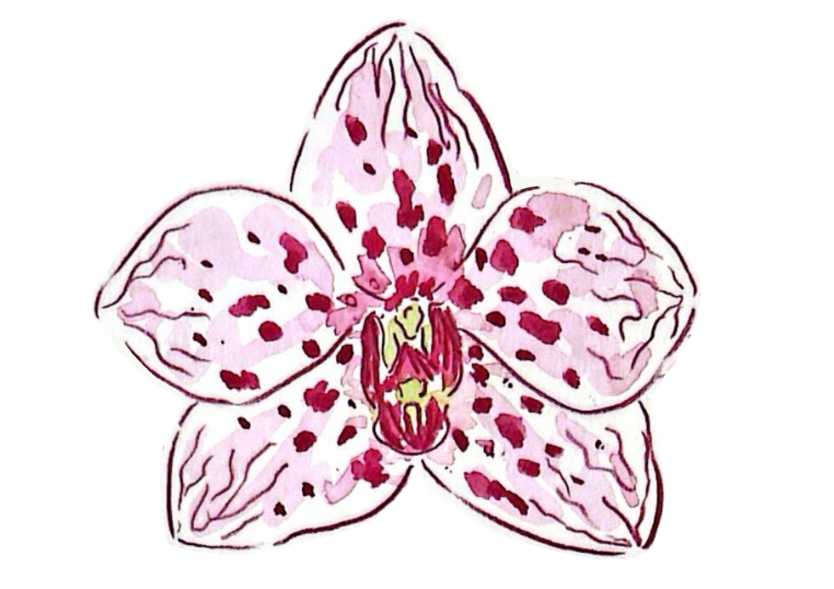 Fleur